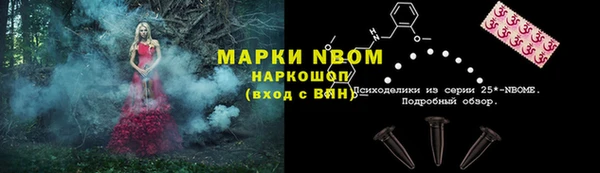 PSILOCYBIN Балабаново