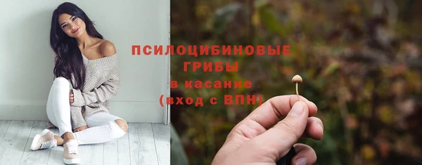 мет Арсеньев