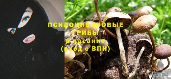 ПСИЛОЦИБИНОВЫЕ ГРИБЫ Армянск