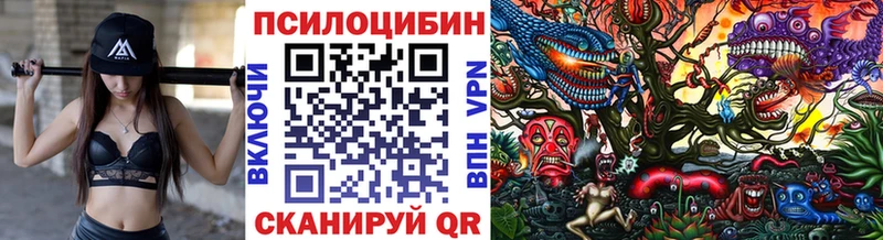 Галлюциногенные грибы мухоморы  дарнет шоп  Усть-Кут 